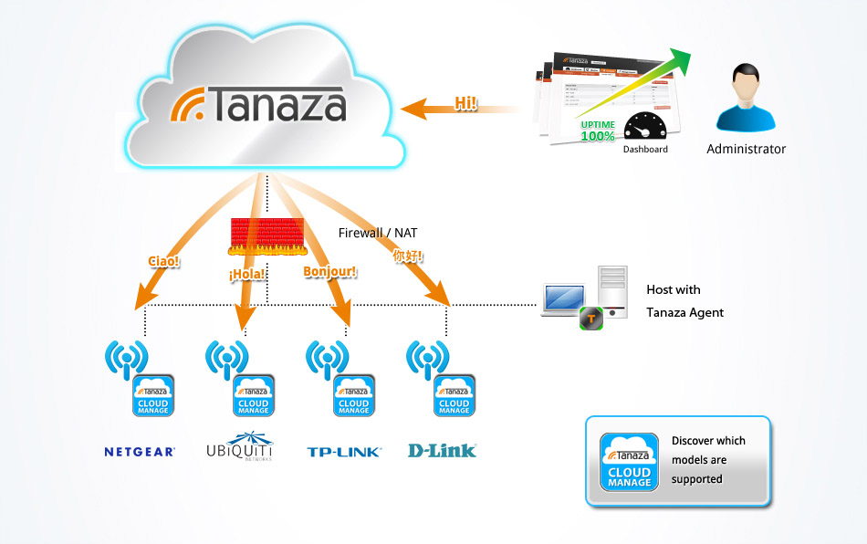 Main Graphic