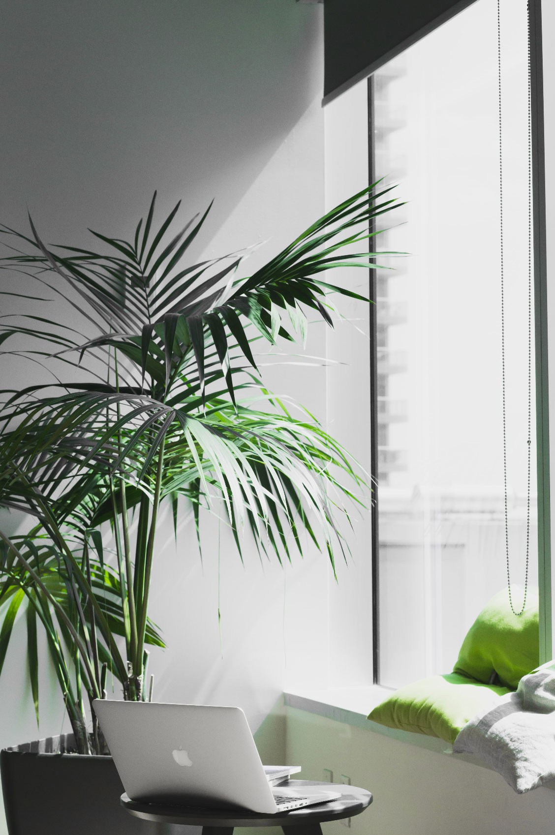 Office WiFi Company - Tanaza