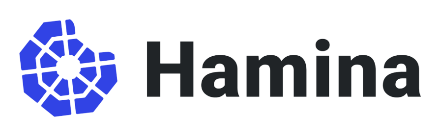 Hamina Wireless Logo
